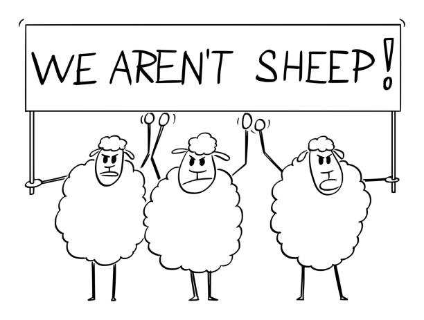 Crowd of Sheep Holding We Aren't Sheep Sign, Vector Cartoon Illustration Crowd of sheep holding we aren't sheep sign, vector cartoon character illustration. meek as a lamb stock illustrations