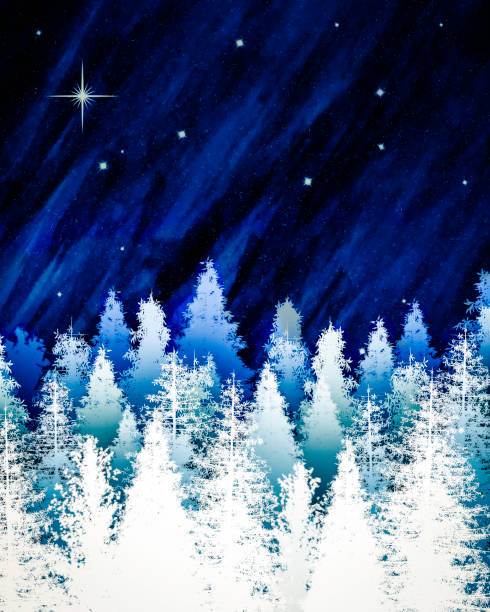 istock White Christmas Trees Silhouetted against Starry Night Sky with Bright Star 1335288724