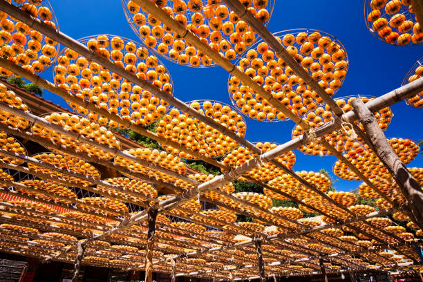 istock Traditional Making Dried Persimmon in Hsinchu, Taiwan. 1335289732