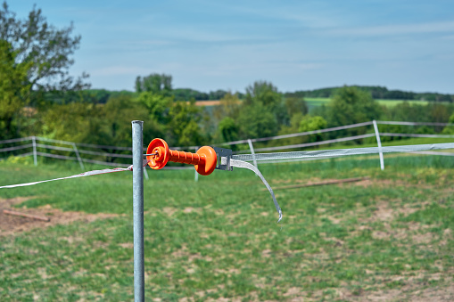 Close up photo of an orange fence handle. Electrical wire fence around a pasture for horses in Bavaria, Germany. Huge green field with trees and blue sky in the background. Daylight, spring sunshine.