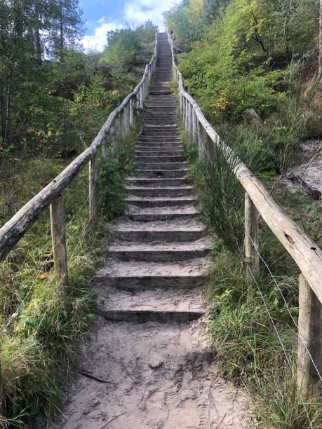 istock Stairs in the dunes 1335291272