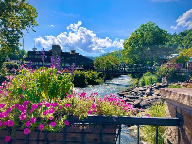 Walkways of East TN Mountain Trails Visiting Gatlinburg TN in August gatlinburg great smoky mountains national park north america tennessee stock pictures, royalty-free photos & images