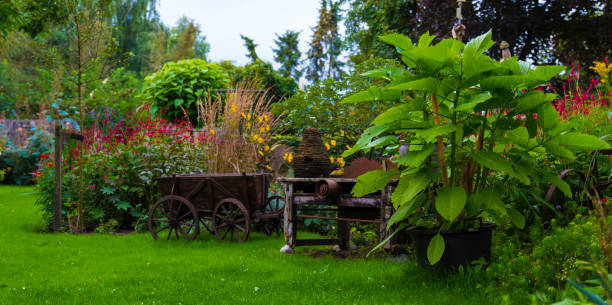 istock big english garden with green grass 1335295287