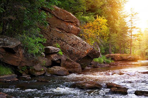 Stream with waterfall running through a thick forest in Maine