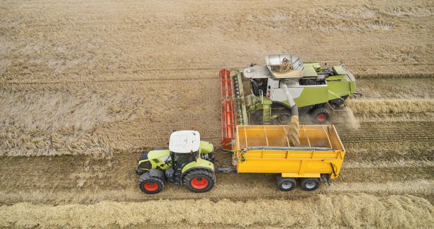 istock Combine harvester in Barley field 1335298431
