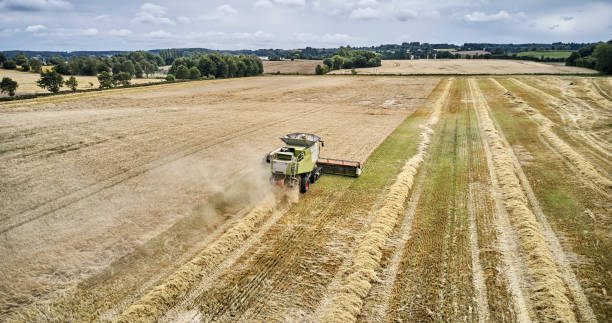 istock Combine harvester in Barley field 1335298537