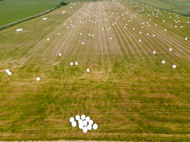 Ensilage balls on farmland from above, drone photography, farming art work
