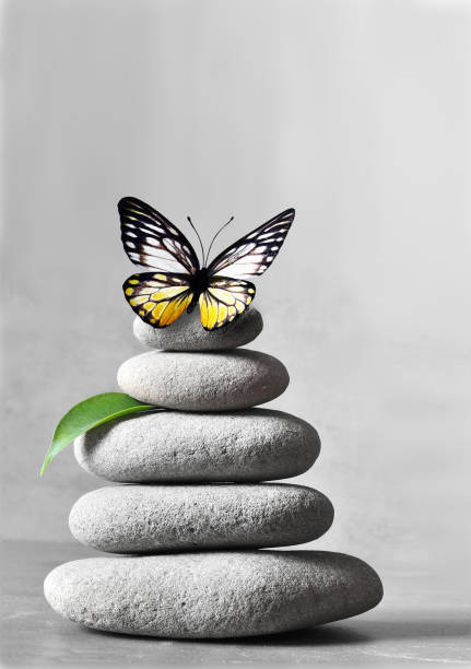 Spa stones with leaf and butterfly on light background.