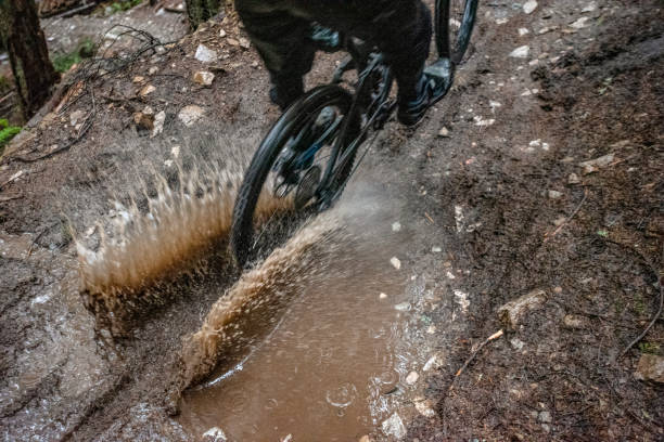 istock POV of mountain biker racing through rainforest 1335306286