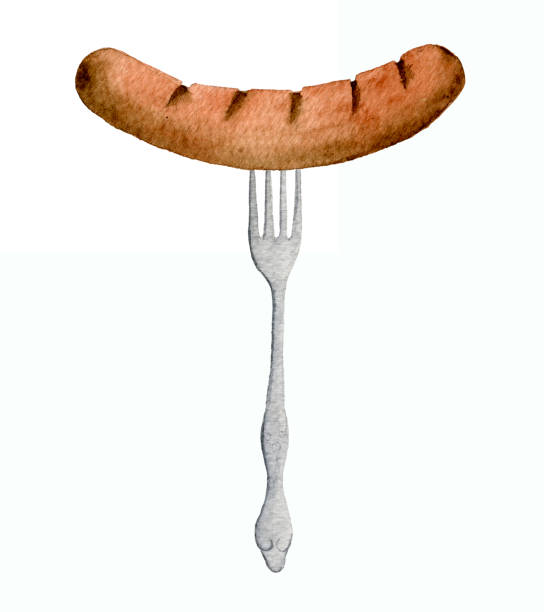 ilustraciones, imágenes clip art, dibujos animados e iconos de stock de salchicha y tenedor de acuarela - lunch sausage breakfast bratwurst