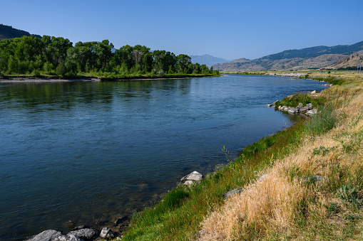 Día tranquilo en el río Gallatin en Montana, paisaje natural como fondo photo