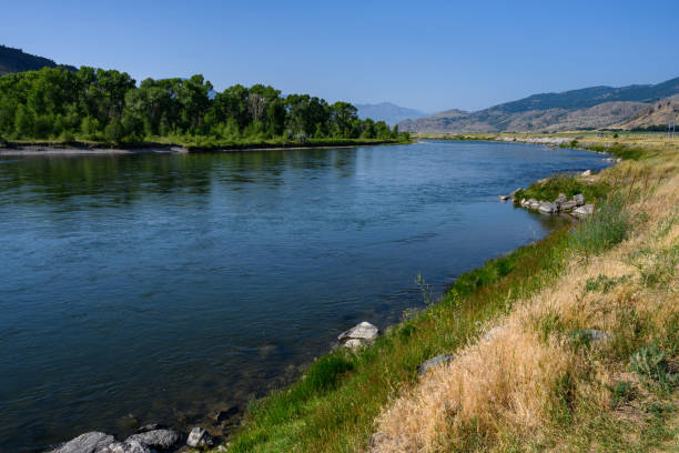 spokojny dzień nad rzeką gallatin w montanie, krajobraz przyrody jako tło - rzeka missouri zdjęcia i obrazy z banku zdjęć