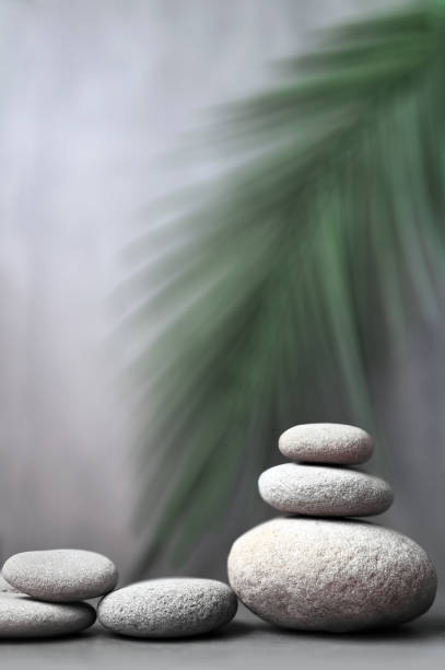 Spa stones with palm branch on grey background.