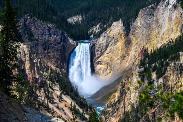 lower falls waterfall in the grand canyon of the yellowstone, yellowstone national park, usa - lower falls imagens e fotografias de stock