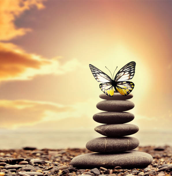 istock Spa stones on the beach and butterfly on sky background. 1335310407