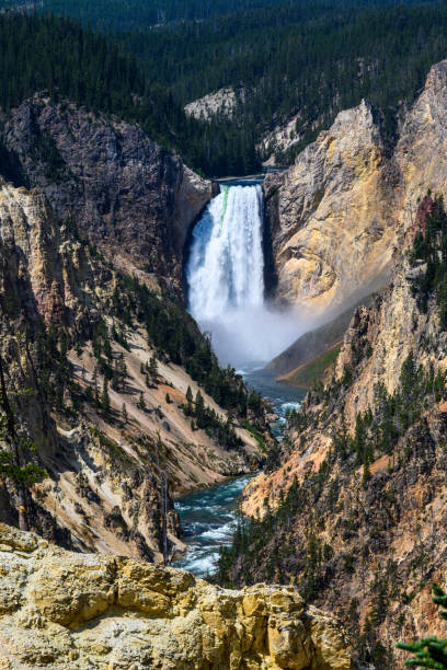 lower falls waterfall in the grand canyon of the yellowstone, yellowstone national park, usa - lower falls imagens e fotografias de stock