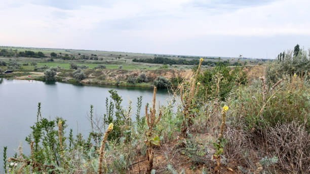 istock Lake on light background, photo. Nature background. Panoramic beach landscape. Beautiful summer season. Light background, relax scene. 1335312690