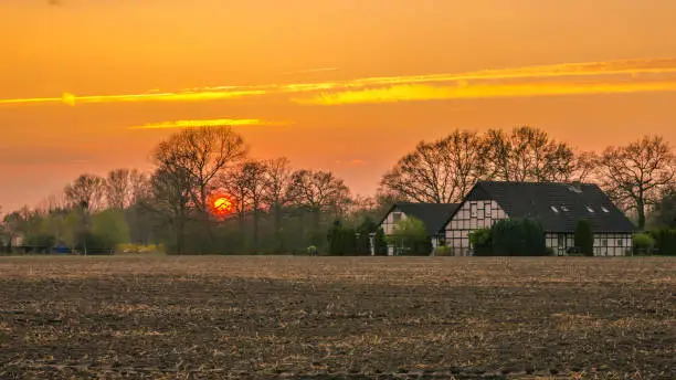 Empty field at sunset with half timbered farm house at Munsterland, Germany