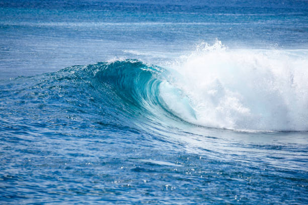 istock Breaking wave - Mentawai Islands Indonesia 1335315929