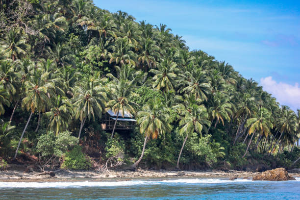 indonesia - coconut shoreline - mentawai islands rural scene sumatra indonesia fotografías e imágenes de stock