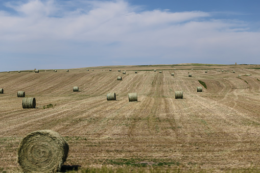 Farmland and highway scenes along the highways of Eastern Alberta Canada