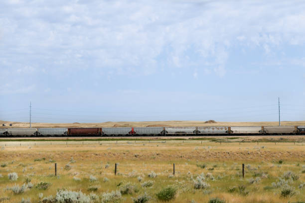 railcars along the tracks seen from the highway in the alberta canada prairies - electrical junction box imagens e fotografias de stock