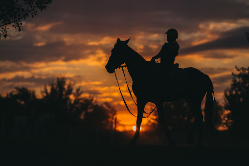 Black silhouette of a riding a horse at sunset