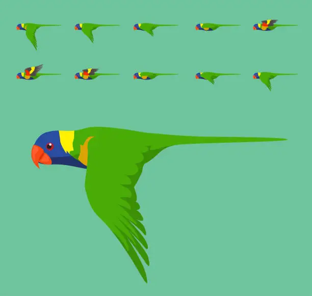 Vector illustration of Animation Rainbow Lorikeet Flying Cute Cartoon Vector Illustration