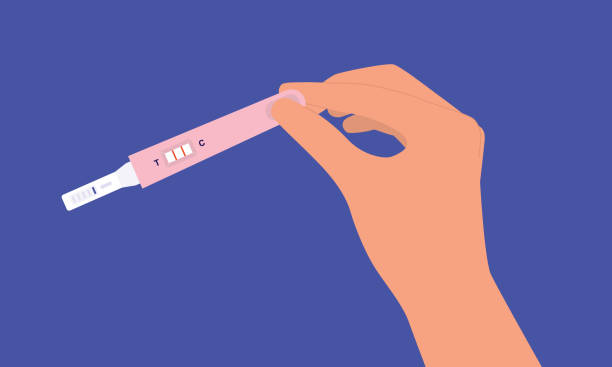 A Person's Hand Holding Pregnancy Self-Test Kit With Two Stripes. Positive Pregnancy Test. A Person's Hand Holding Pregnancy Self-Test Kit With Two Stripes. Close-Up, Isolated On Blue Background. Vector, Illustration, Flat Design, Character. family planning stock illustrations