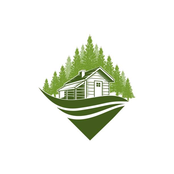 ilustrações de stock, clip art, desenhos animados e ícones de house and pine trees with water view or lake side - casas de madeira modernas