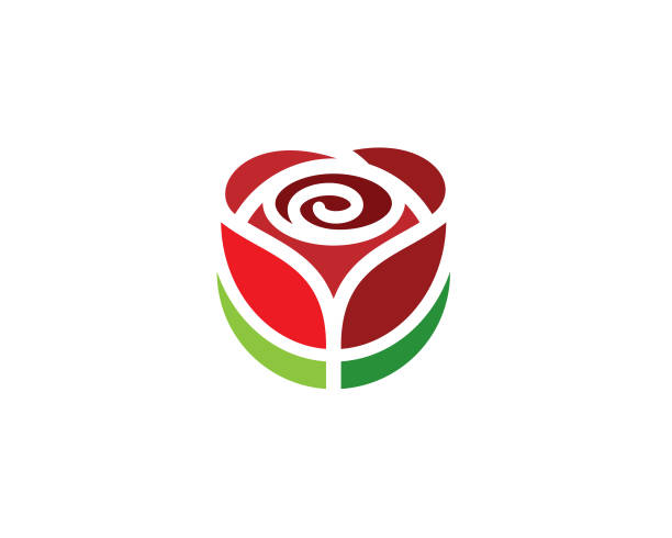 prosta róża z zielonymi liśćmi logo vector - design abstract petal asia stock illustrations