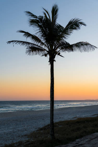 pôr do sol na praia de saquarema, no rio de janeiro, brasil. famoso por ondas e surfe. igreja no topo da colina - villa summer rock sand - fotografias e filmes do acervo