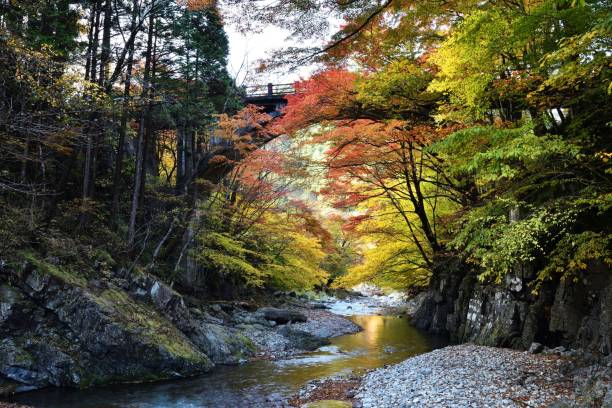 istock Oashi valley, Kanuma, Tochigi, in autumn 1335329682