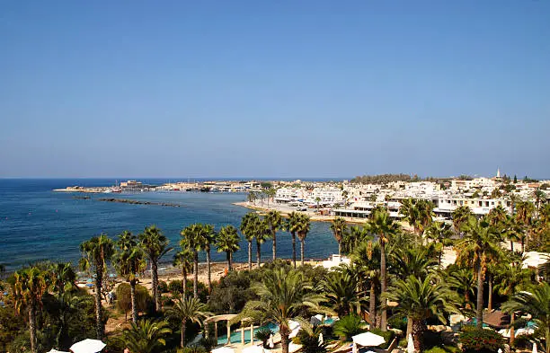 With palm trees in the foreground a view across the town and harbour of Paphos in Cyprus