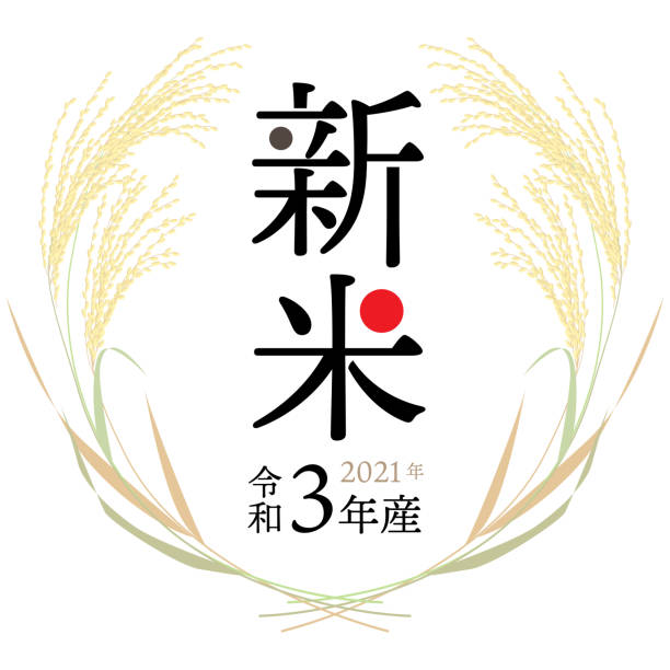 neues reisvektor-illustrationsetikett. 
großer text bedeutet "neuer reis". 
kleiner text bedeutet jahr 2021. japanischer jahresname "reiwa 3 nensan" - rice paddy rice food short grain rice stock-grafiken, -clipart, -cartoons und -symbole
