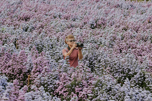 Positive healthy Thai senior adult female tourist photographing flower blooming in Chiangmai Province. Ok violet