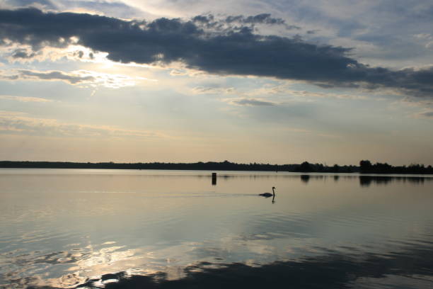 istock Tranquility on the edge of lake 1335350852