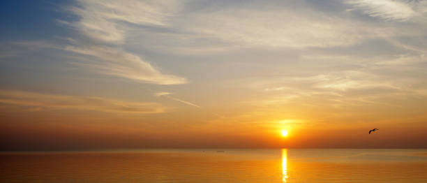 istock Panoramic View of Sunset, Sky and Sea Horizon 1335352553