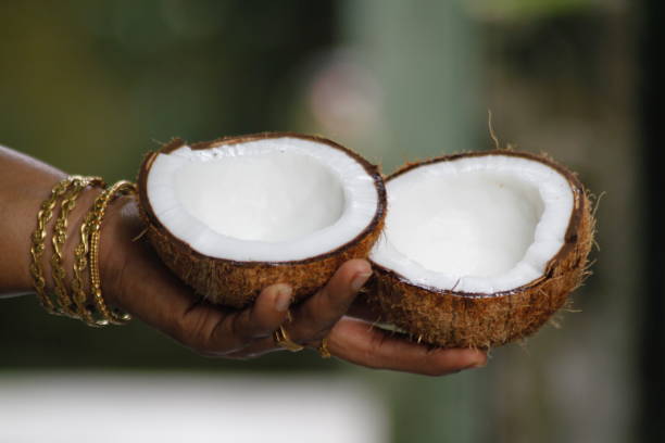 istock A women's hand holding opened coconut 1335352621