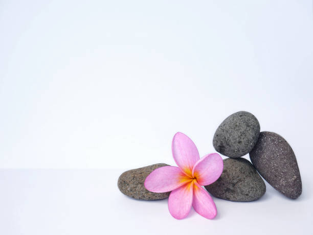 istock Spa relaxing beautiful tropical flowers for wallpaper or background 1335353560