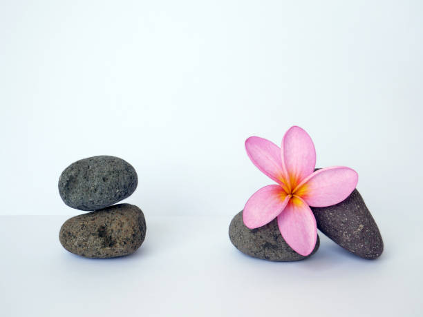 istock Spa relaxing beautiful tropical flowers for wallpaper or background 1335353578