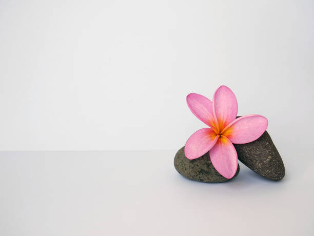 istock Spa relaxing beautiful tropical flowers for wallpaper or background 1335353585