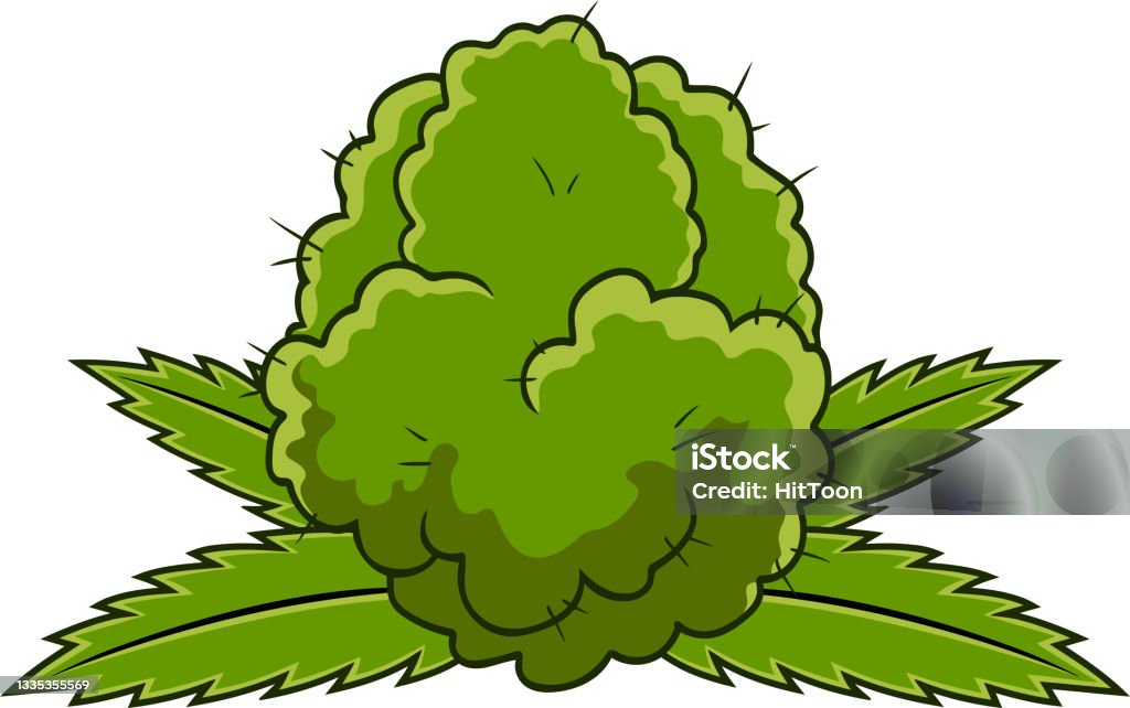 Ilustración de Cogollo De Marihuana Verde De Dibujos Animados Con Hojas De  Marihuana y más Vectores Libres de Derechos de Marihuana - Hierba de  cannabis - iStock