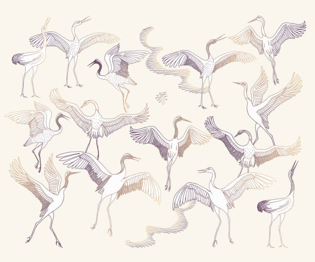 Dancing crane birds on a beige background Vector set of hand drawn sketches in Japanese and Chinese nature ink illustration tradition. Dancing crane birds on a beige background japanese crane stock illustrations