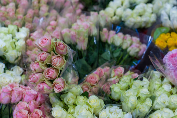 Sydney Flower Markets at Flemington