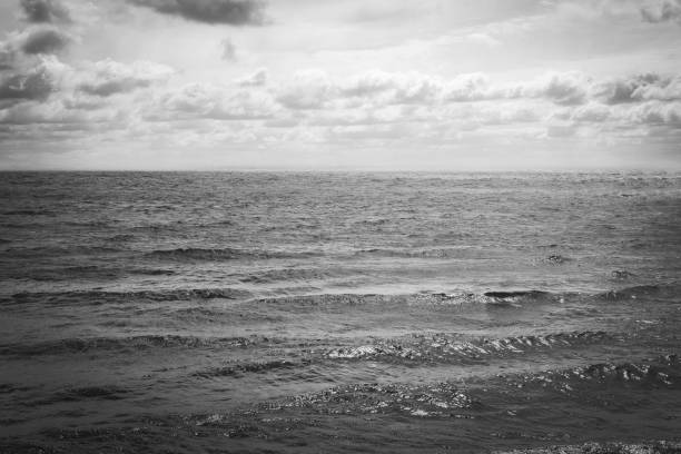 istock Image of the sea. Baltic sea 1335356702