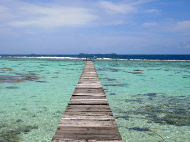 istock Paradise beach to enjoy summer time 1335356856