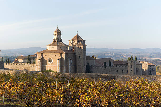 istock Monastery of Santa Maria de Poblet 133535757