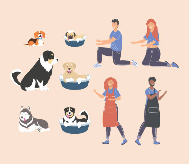 ilustrações de stock, clip art, desenhos animados e ícones de icons with people and dogs - dog bathtub washing puppy