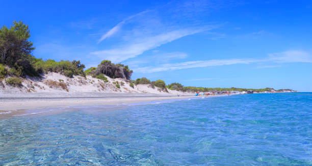 die schönsten sandstrände apuliens in italien: alimini beach an der küste des salento. - europe pine tree sea adriatic sea stock-fotos und bilder